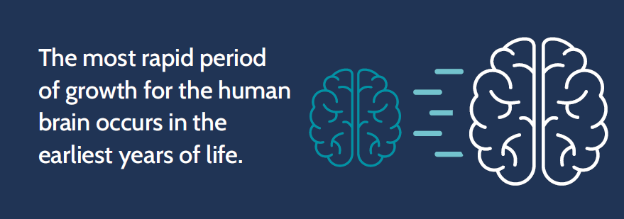 The most rapid period of growth for the human brain occurs in the earliest years of life.